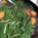 Cooksnap dari nitabibir12 untuk resep Sayur bayam bening