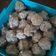 Cooksnap dari Nina untuk resep Bakso Sapi Polos Kenyal Lembut
