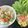 Cooksnap của Rose Truong khi họ làm theo món Bún mọc sườn
