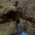 Cooksnap dari siti nuraini untuk resep Home-made Chicken Katsu
