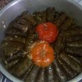 صورة من ورد جوري، شاركها بعد تجربة وصفة ورق عنب لذيذذذ😍😍