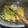 Cooksnap dari DIANA AMALIA untuk resep 1. Sayur Nangka Muda Tetelan Sapi