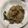 El cooksnap de alejandrodgomez cuando hizo Risotto de setas.