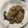 El cooksnap de alejandrodgomez cuando hizo Risotto de setas.