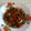 Cooksnap dari Anniltal Manzilah untuk resep Beef teriyaki