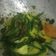 Cooksnap dari Didi Nurmauliddiyani Kartasendjaya Miharjasasmita untuk resep Gulai NKK (Nangka Kol Kacang Panjang) ala RM Padang