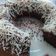 Cooksnap dari Esa Puspita untuk resep Bolu Coklat Choco Chips