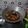 Cooksnap dari nimasroro untuk resep Ayam Kecap Praktis 😉