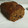 El cooksnap de Bea Mh cuando hizo Bizcocho de chocolate y plátano con pepitas de chocolate.