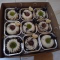 Cooksnap dari wilezid_kitchen untuk resep Puding Lapis Oreo Coklat