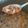 El cooksnap de Kat cuando hizo Alubias mungo con berenjena.