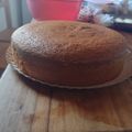 El cooksnap de Leila paola Zimmermann cuando hizo Bizcochuelo súper fácil súper alto.