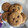 El cooksnap de Dann Conforti cuando hizo Cookies chips 🍪.