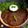 Deepa Rupani's cooksnap of when they made Ragi Spinach Parantha.