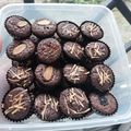 Cooksnap dari Dina Rahayu untuk resep Brownies Kering mini Cup