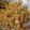 Cooksnap khairol agos semasa beliau membuat Sesimple Mee Goreng.
