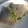 El cooksnap de Julieta Luján cuando hizo Quesadillas triangulares.