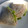 El cooksnap de Julieta Luján cuando hizo Quesadillas triangulares.