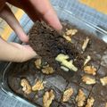 El cooksnap de Javiera Palma cuando hizo Brownie fácil.