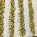 صورة من أكلاتي الشهية😋، شاركها بعد تجربة وصفة ليالي لبنان طعم ونكهة مميزة 😋😋