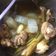 รูป Cooksnap ของ Sasi เมื่อเขาทำ ไก่ต้มขมิ้น