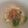 Cooksnap dari Iin Eka Putri untuk resep Mee Hoon Kueh
