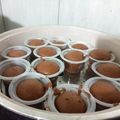 Cooksnap dari Siti Nurrohmah untuk resep Brownies Drink Bengbeng Kukus (No Mixer)