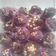 Cooksnap dari Dewi Mustika Rini untuk resep Coco crunch choco yummy.