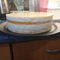 VivienK Cooksnap-ja, amikor elkészítette a(z) Barack mousse torta kókusszal receptet.