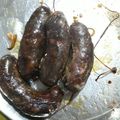 El cooksnap de Griselda Barrios cuando hizo Chorizo a la Cerveza.