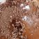 El cooksnap de Lari Engelmann cuando hizo Mousse de chocolate (puddin) al microondas fácil y económico.