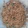 Cooksnap dari Indry Salo untuk resep Mie Goreng