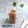 Cooksnap dari Mama fathan untuk resep Anlene Bold Coffee Latte