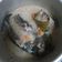 Cooksnap dari Ajeng Desti P. untuk resep Mangut ikan lele mpasi 12m
