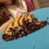 Cooksnap από Ναυσικά στη συνταγή Το πιο εύκολο vegan κέικ σοκολάτας χωρίς μίξερ by cook mentors!!!