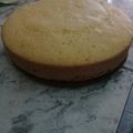 El cooksnap de agus danelutti cuando hizo Bizcochuelo húmedo de naranja.