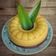 Cooksnap dari Mama Anes (Dapur Mama Anes) untuk resep Puding Labu Kuning lapis Coklat