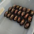 Cooksnap dari Fitri Karim untuk resep Kurma coklat