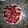 YanasMom's cooksnap of when they made No bake cheesecake.