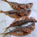 Cooksnap dari Putri Alawiyah untuk resep Kembung Goreng Bumbu Kuning