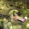 Cooksnap dari tiwi_nazala untuk resep Soto Banjar