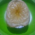 Cooksnap dari Yuyun Sri R Maulana untuk resep Zuppa Soup Ayam Jagung