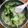 Cooksnap của May Trần khi họ làm theo món Canh súp lơ thịt băm