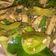 Cooksnap dari VerOnica Roma MaRully untuk resep Ikan pari asap cabe hijau