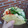 El cooksnap de Alicia Carrillo cuando hizo Pita sándwich de hummus y pepino🥙🥙.