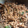 Cooksnap dari Riana Asriandi untuk resep Tuna Suwir Kemangi Pedas