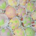 Cooksnap eiycha semasa beliau membuat Apam Polkadot versi Fruits.