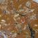 Cooksnap dari Ice Tee untuk resep Tongseng daging sapi empuk