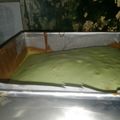 Cooksnap dari Dian Butham Marzuqie untuk resep Bolu panggang pandan