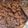 Cooksnap dari Setyo Wati untuk resep Rendang daging sapi empuk